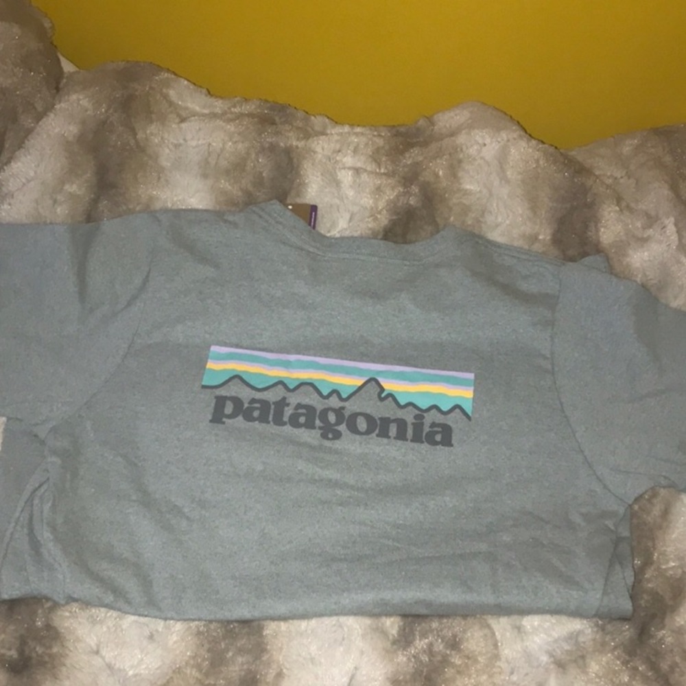 Patagonia tshirt